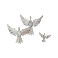Conjunto de pombas